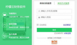 柠檬云财务软件,助力企业高效财务管理新篇章